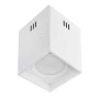 LED Surface Light SANDRA-SQ10 10W white 4200K