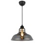 Pendant Glass Lamp DREAM Titanium E27