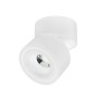 LED Surface Spotlight LAYLA-15 15W 360° rotatable, 90° Adjustable White