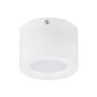 LED Surface Light SANDRA-5 Overhead Light 5W White