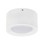 LED Surface Light SANDRA-10 Overhead Light 10W White