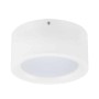 LED Surface Light SANDRA-15 Overhead Light 15W White