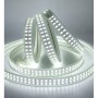 100M Rol Led Waterdichte Strip ATLANTIC-P 220-240V IP65 2Row Prisma...