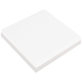 LED Surface Panel Light 30x30cm CARLA-48/SQ 48W White