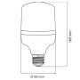 10x pcs. LED Bulb TORCH-30 30W E27