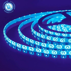 5m LED-Strip REN Blue 12V DC IP65 Waterproof